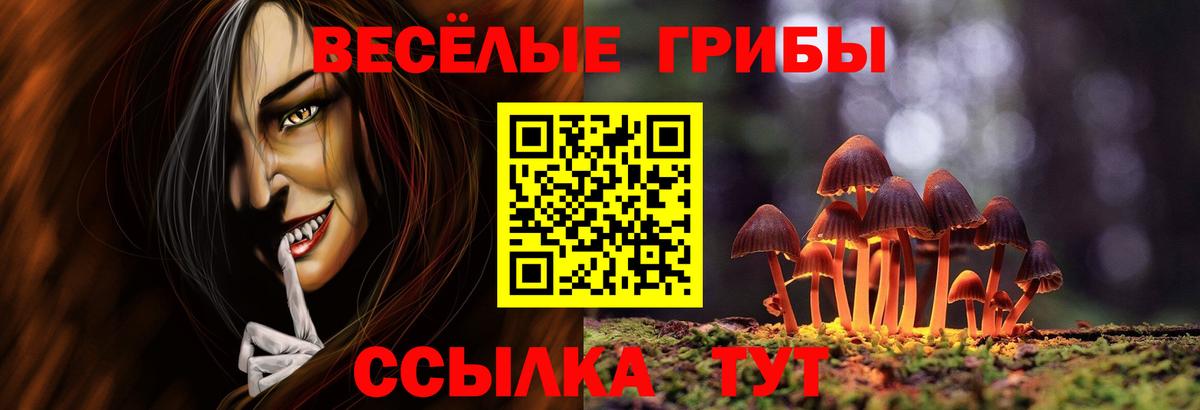 Галлюциногенные грибы Magic Shrooms  Вход с VPN  Галлюциногенные грибы Psilocybine cubensis  Можга 